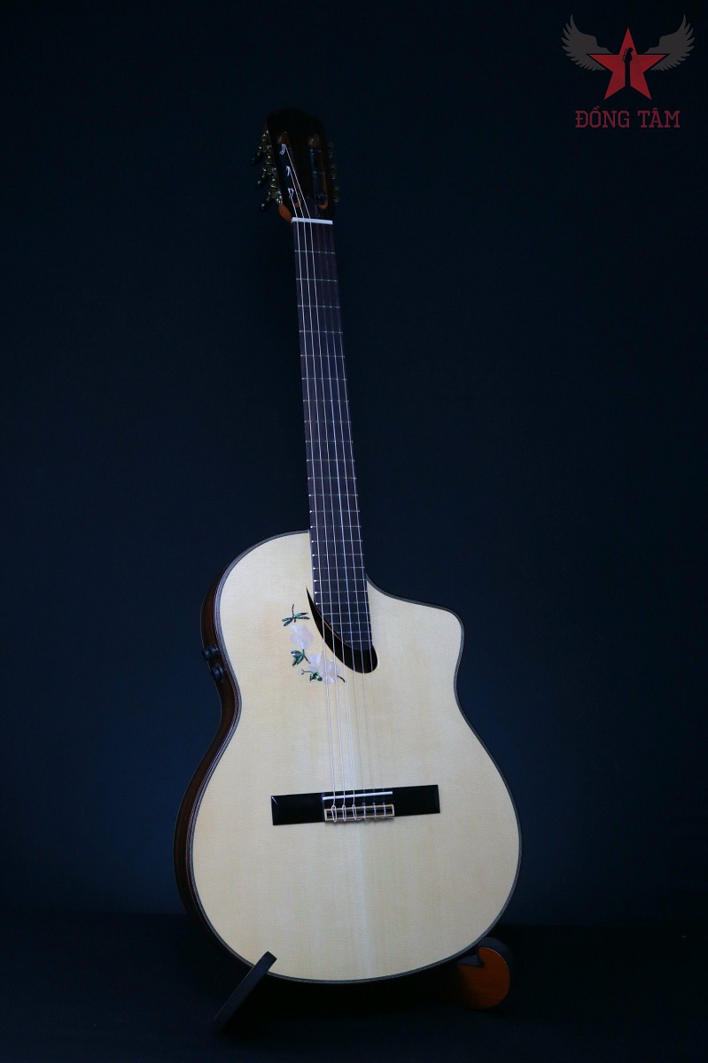guitar-monleon-nmi-cg10s