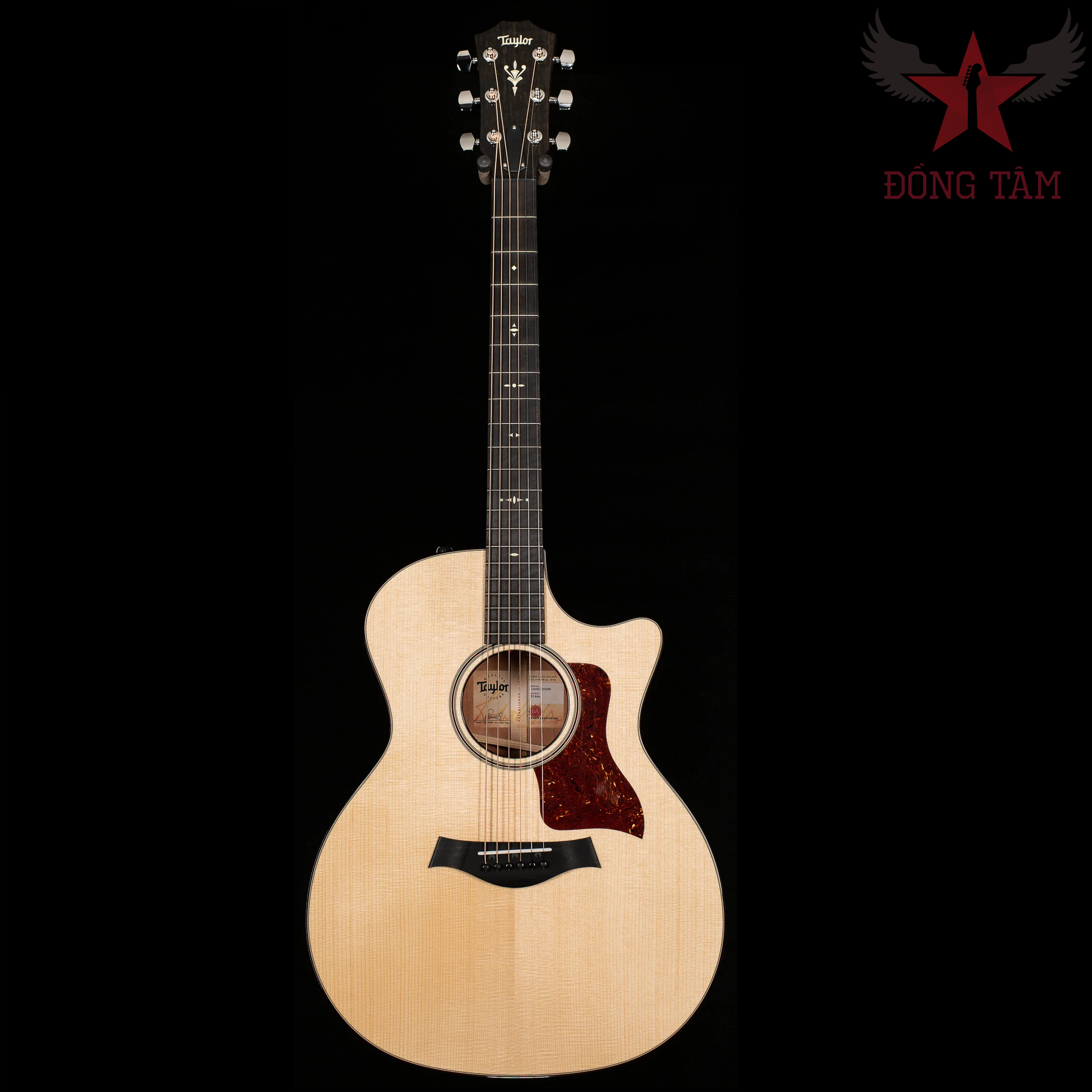 taylor-514-ce-v-class-acoustic-guitar