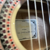Guitar Classic Flamenco  JX - 20CE