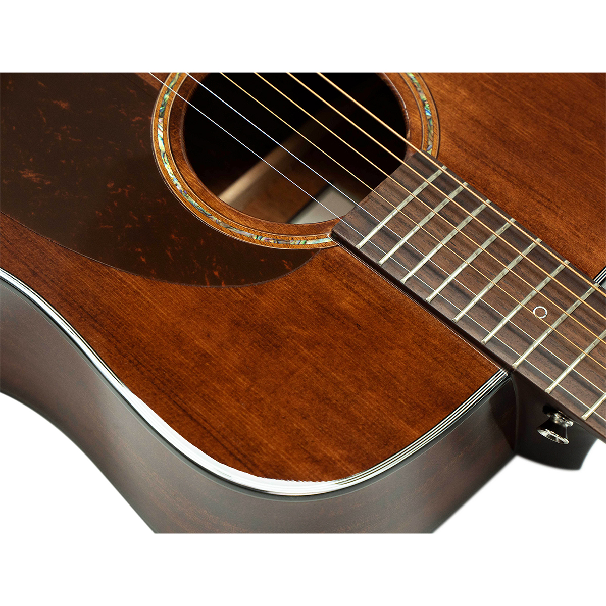 Guitar Acoustic Saga SF830R 
