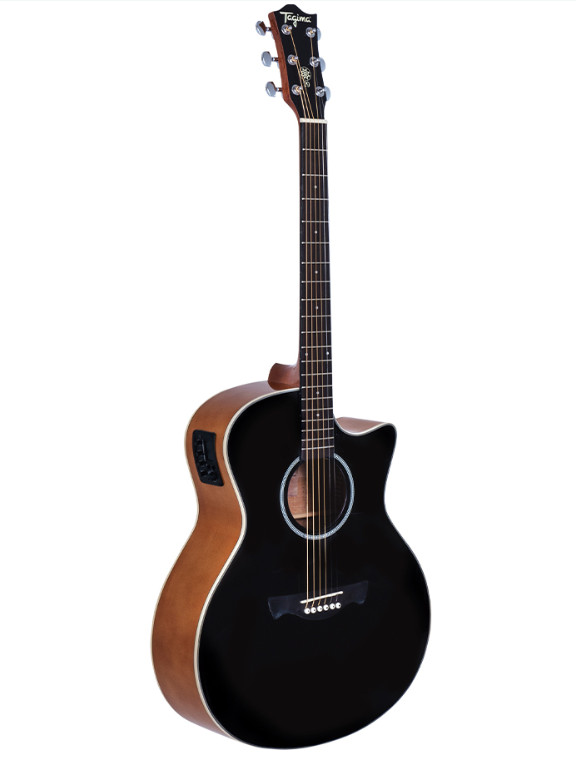 Guitar Tagima TW-29 DSBS 