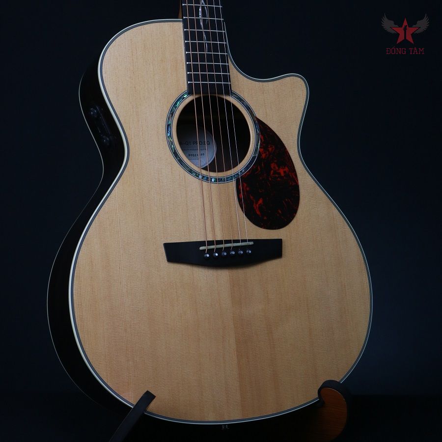Đàn Guitar Guitar Enya EA-Q1 PRO EQ