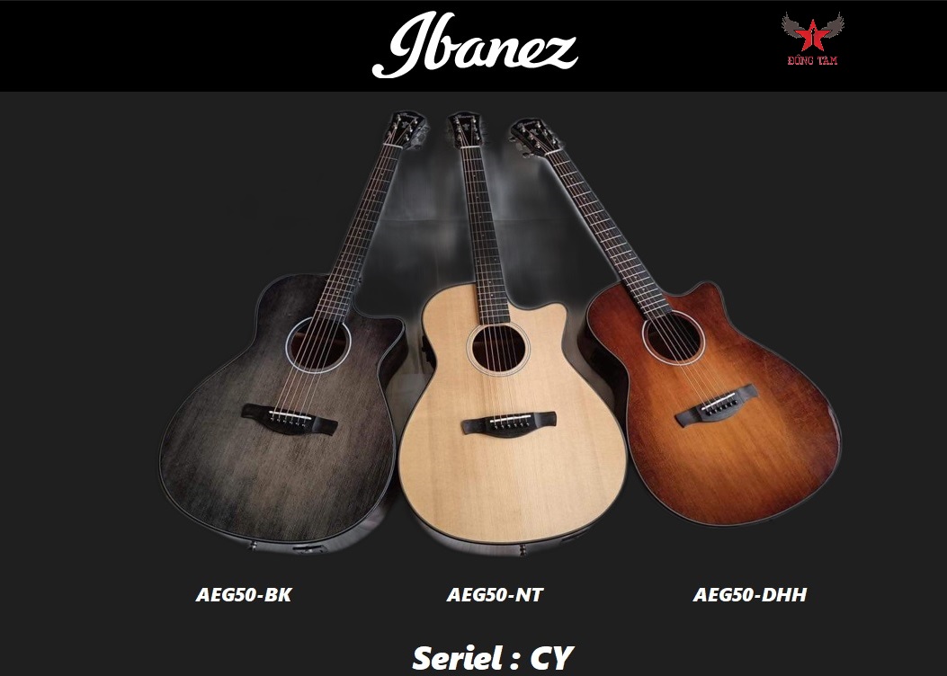 Guitar Ibanez AEG50