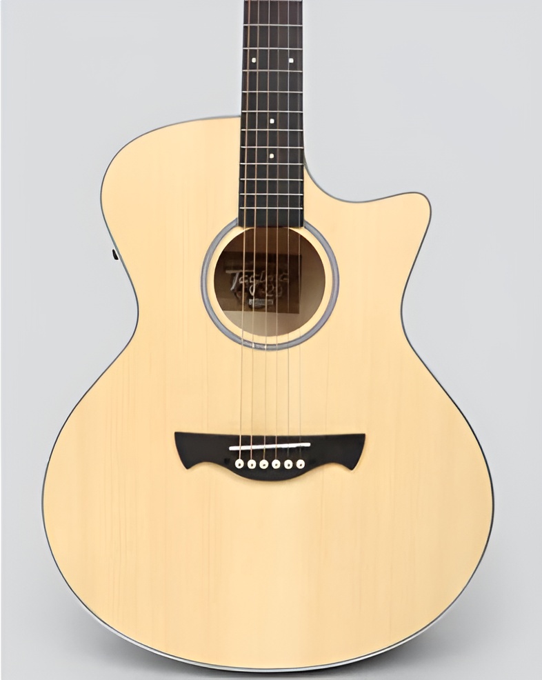 Guitar Tagima TW-29 DSBS 
