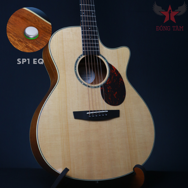Guitar Enya EGA Q1M SP1 