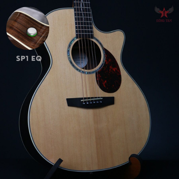 Guitar Enya EGA Q1 Pro SP1 