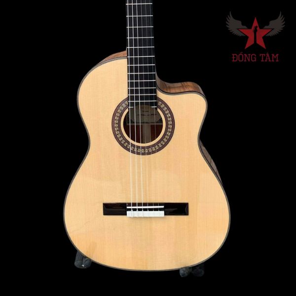Guitar Flamenco F9 Maple 